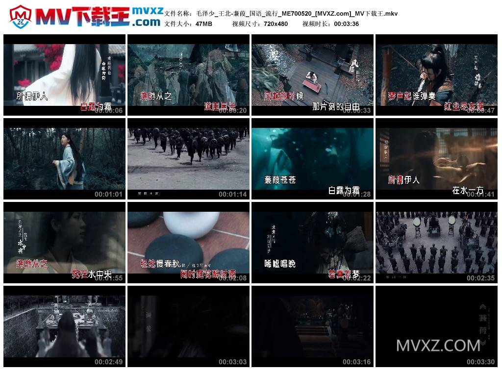 毛泽少_王北-蒹葭_国语_流行_ME700520